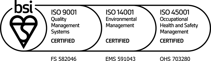 BSI LOGO